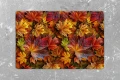 PODKŁADKA JESIENNA POD TALERZ ZESTAW 4 SZTUKI NA STÓŁ 45X30 CM JESIEŃ 0462 - 30702